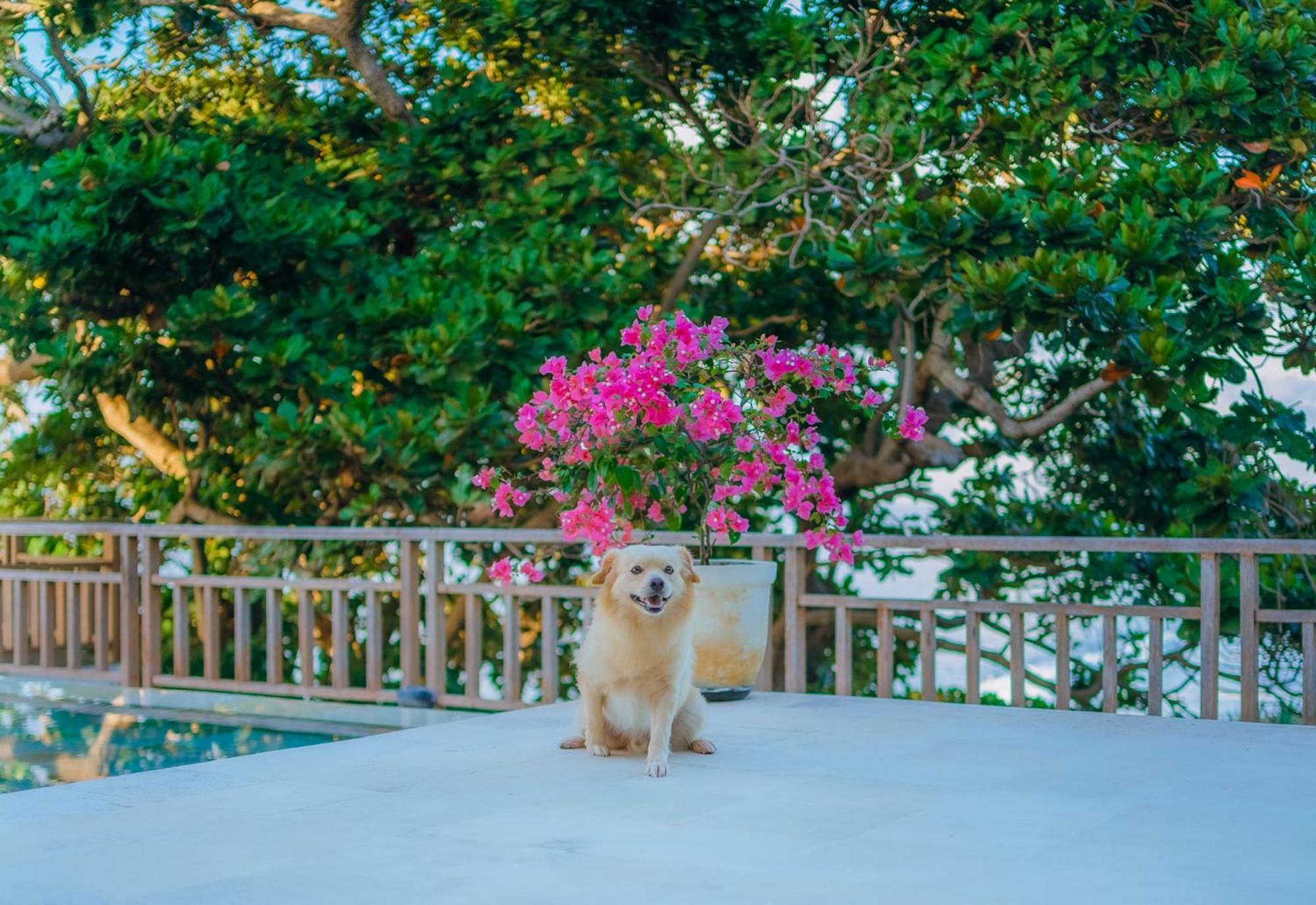 Raaga Samudra Villa Padangbai  Buitenkant foto