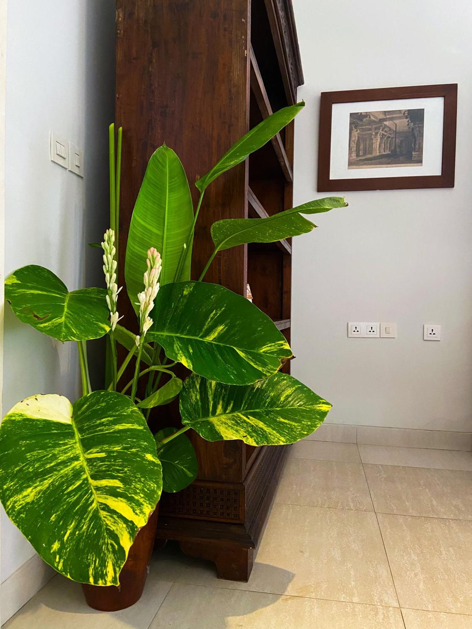 Raaga Samudra Villa Padangbai  Buitenkant foto
